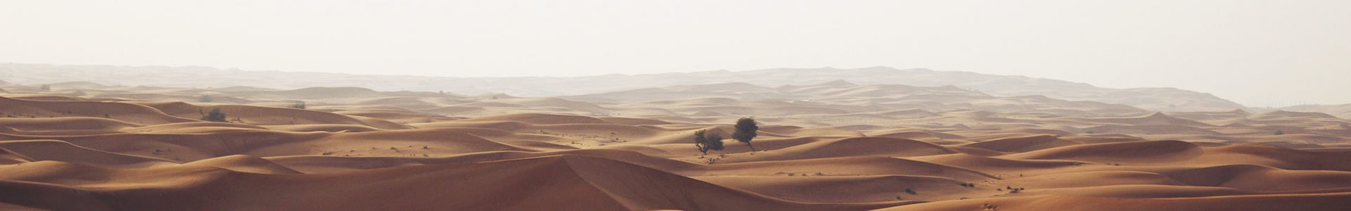 ϺؿƼ޹˾